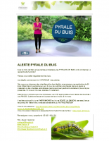 Pyrale du Buis – PDF